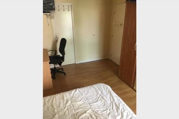 Room Adamshofstraat in Rotterdam