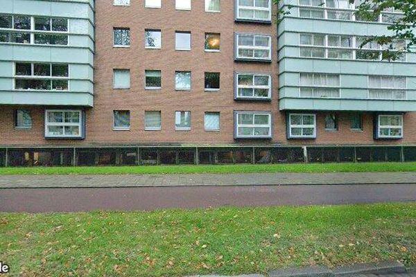 Appartement Cornelis de Wittlaan in Den Haag
