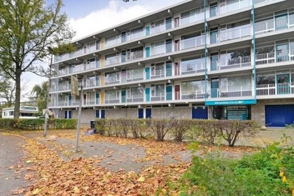 Apartment Brammershoop in Haarlem