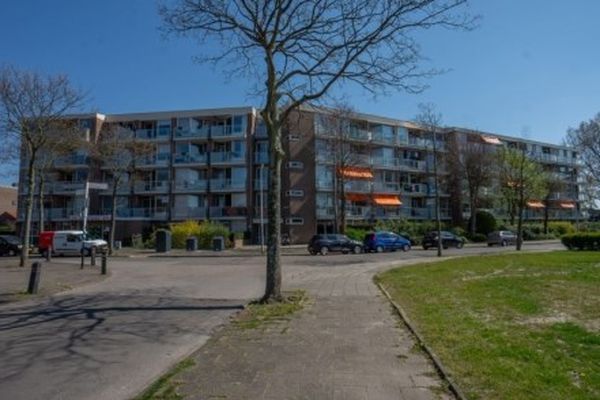 Apartment Hadewijchstraat in Alkmaar