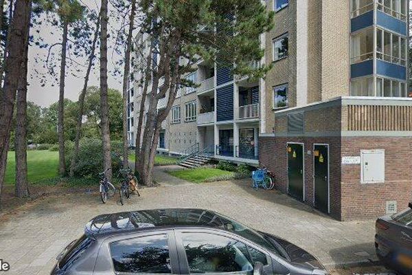 Apartment Van Alkemadelaan in Den Haag