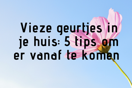 Vieze geurtjes in je huis: 5 tips om er vanaf te komen