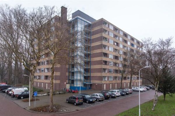 Appartement Fluitekruidweg in Zaandam