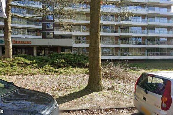 Appartement Sibeliuspark in Oss