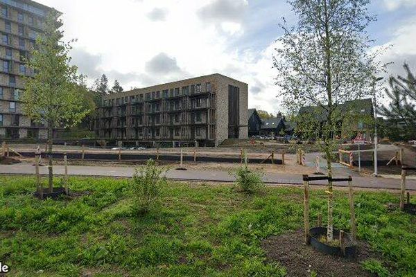 Appartement Bosbeshof in Ede
