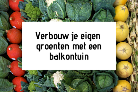 Verbouw je eigen groenten met een balkontuin