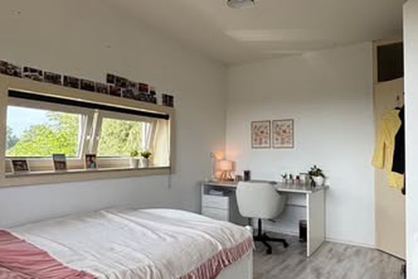 Kamer Paddepoel in Groningen