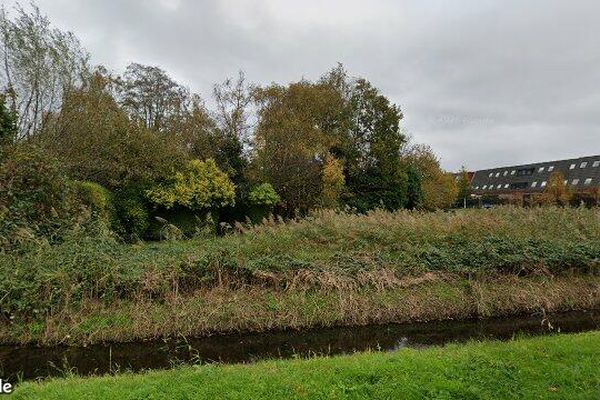 Huurwoning Hannah Höchpad in Rotterdam