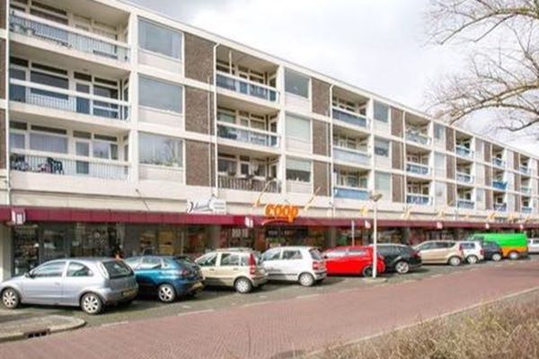 Appartement Haagbeuklaan in Amstelveen