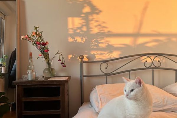 Room Gaasperplas in Amsterdam