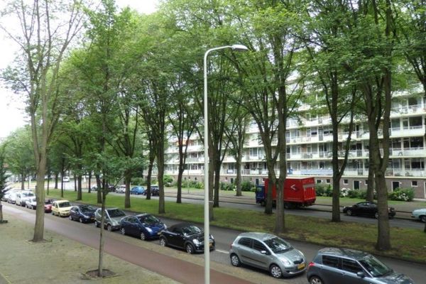 Appartement Volendamlaan in Den Haag