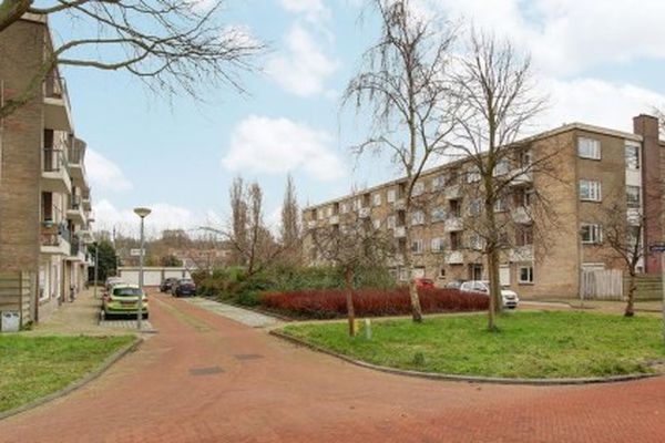 Apartment Lievenshof in Alkmaar