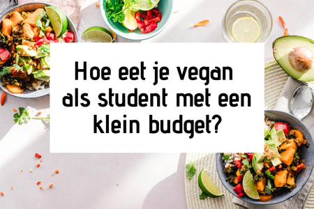 Hoe eet je vegan als student met een klein budget?