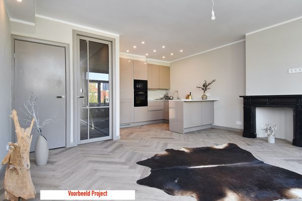 Appartement Paulus Buijsstraat in Den Haag