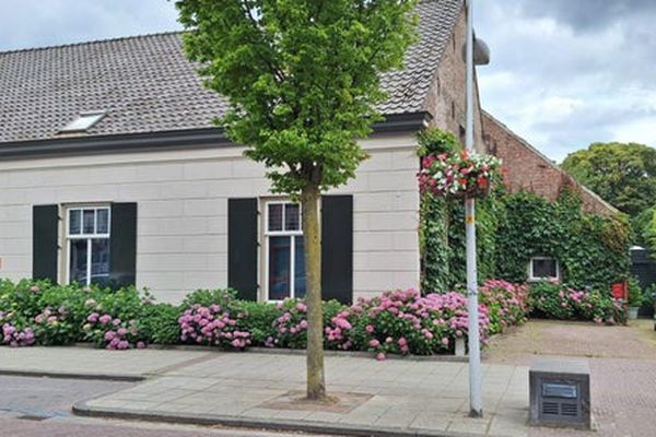House Markt in Bladel