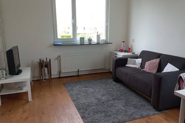 Room Hoornsemeer in Groningen