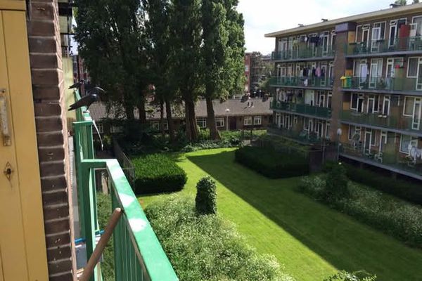 Appartement oud-West in Amsterdam