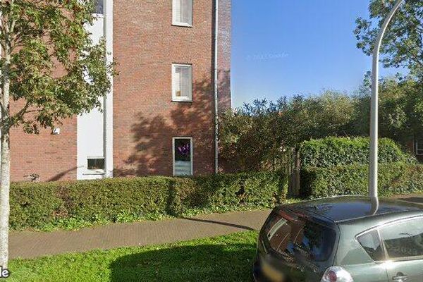 House Goudappel in Den Hoorn (ZH)