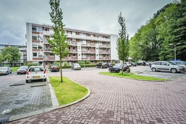 Appartement Leverkruidweg in Zaandam