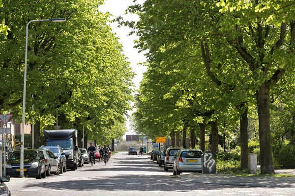 Kamer Van Oldenbarneveldtstraat in Arnhem