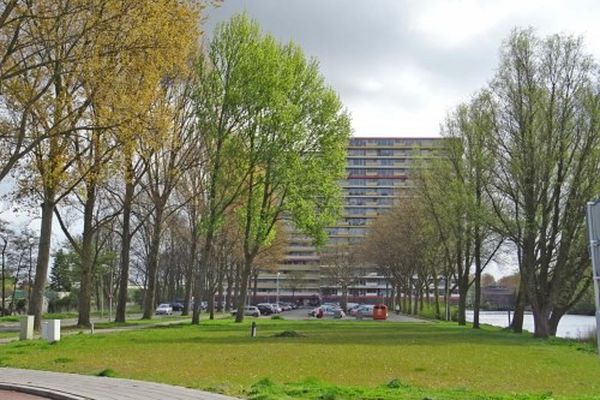 Appartement Oost Dorsch in Zaandam