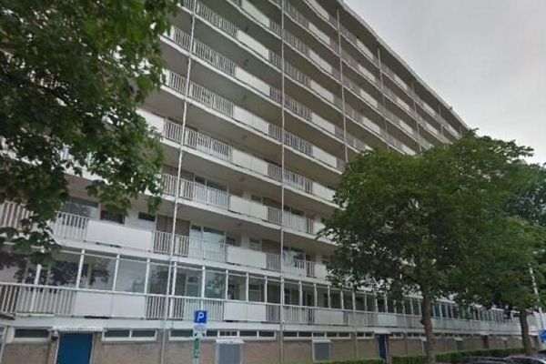Appartement Suze Groeneweglaan in Rotterdam