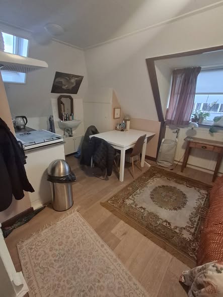 Kamer - Helper Westsingel/Groningen (€467.50/17.00m2)