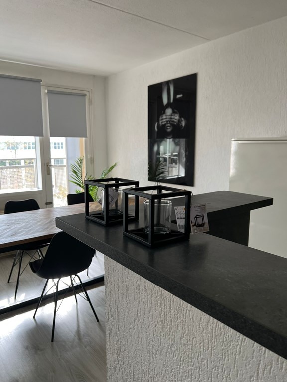 Appartement - Korte Houtstraat/Den Haag (€2250.00/70.00m2)
