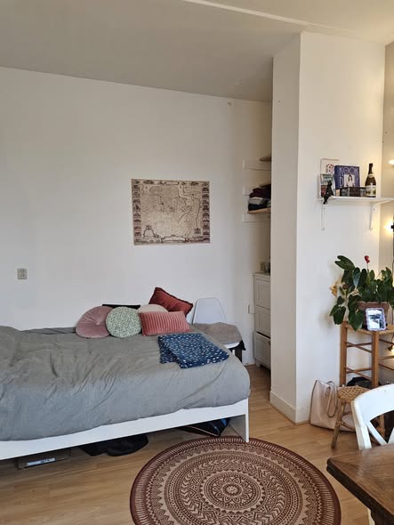 Kamer - Noorderplantsoen/Groningen (€516.40/17.00m2)