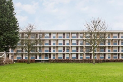 Appartement - Ogierssingel/Rotterdam (€805.00/41.00m2)