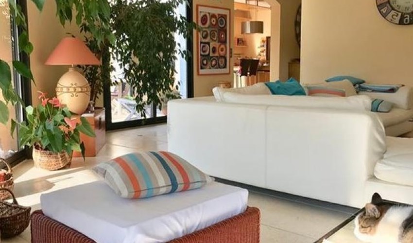 Kamer - Berkenbosch Blokstraat/Den Haag (€860.00/36.00m2)