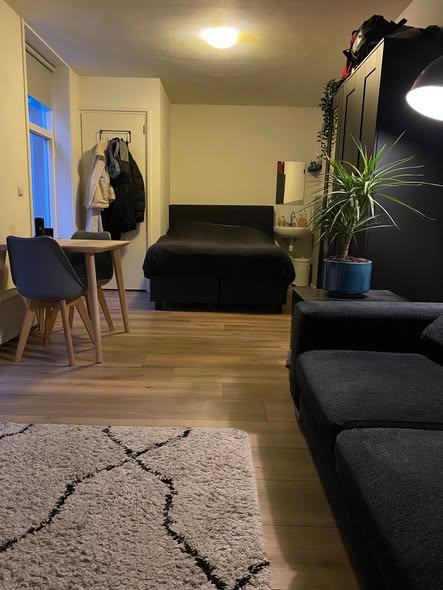 Kamer - Jozef Israëlsstraat/Groningen (€680.00/22.00m2)