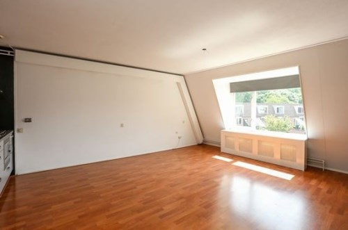 Kamer - Rodenrijselaan/Rotterdam (€425.00/17.00m2)