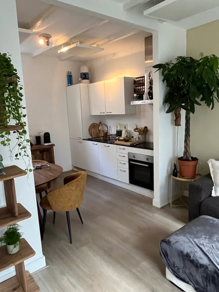 Appartement - Marnixstraat/Amsterdam (€1800.00/55.00m2)