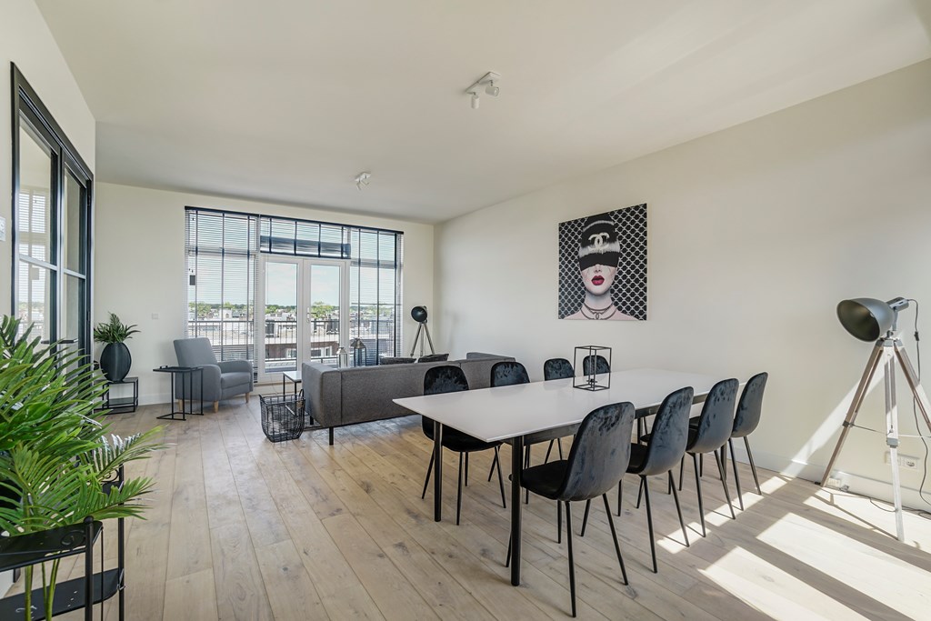 Appartement - Usselincxstraat/Den Haag (€2995.00/140.00m2)