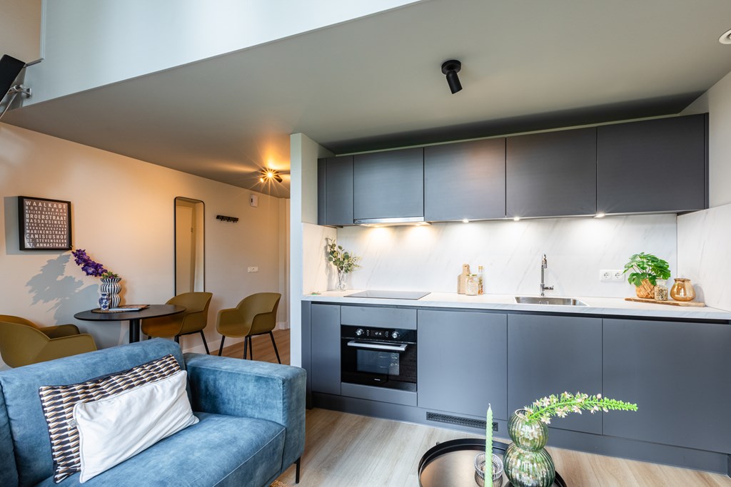 Appartement - Berg en Dalseweg/Nijmegen (€1232.00/38.00m2)