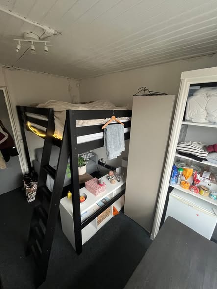Kamer - Reigerstraat/Groningen (€304.00/10.00m2)