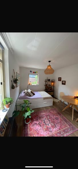 Kamer - Professor Rankestraat/Groningen (€415.00/12.00m2)