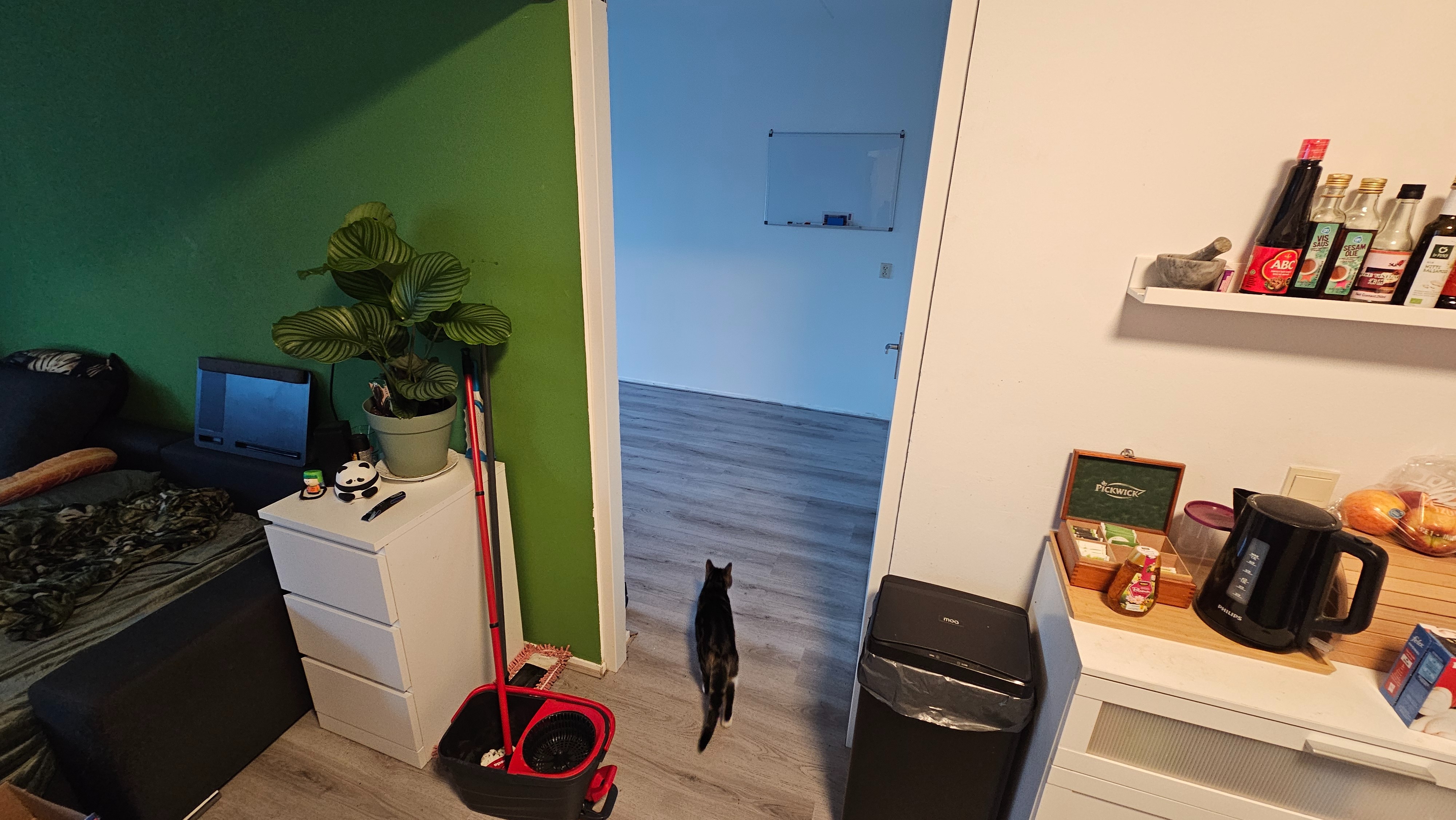 Kamer - Rhenenhof/Amsterdam (€800.00/18.00m2)