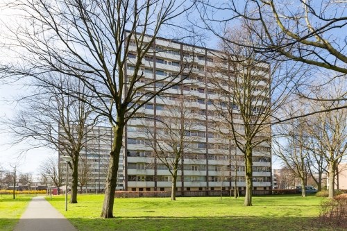 Appartement - Roggekamp/Den Haag (€800.00/32.00m2)