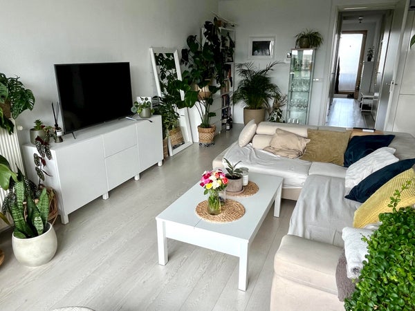 Appartement - Jan Evertsenstraat/Amsterdam (€2500.00/91.00m2)