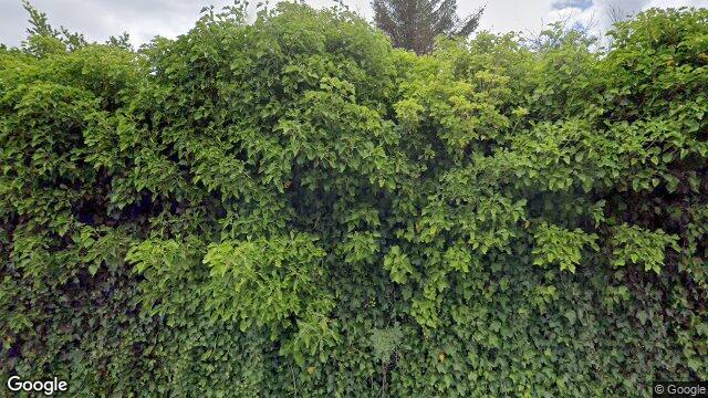 Appartement - Offenberglaan/Den Haag (€2200.00/137.00m2)