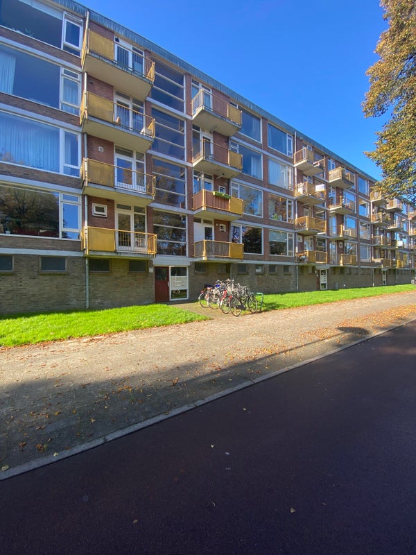 Appartement - Moezeldreef/Utrecht (€1972.00/72.00m2)
