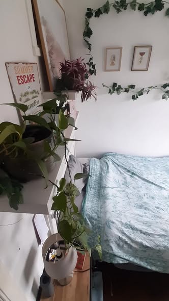 Kamer - Rivierenbuurt/Amsterdam (€500.00/10.00m2)