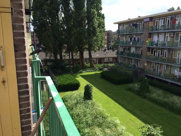 Appartement - Oud-West/Amsterdam (€900.00/55.00m2)