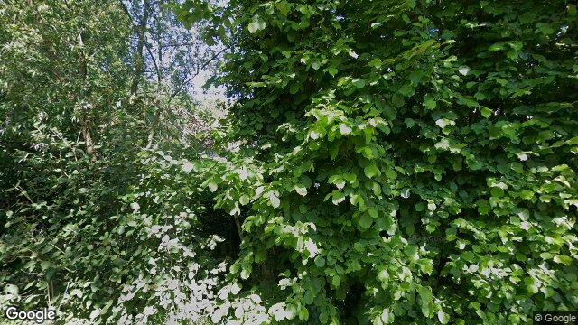 Appartement - Zuiddijk/Noordgouwe (€1500.00/100.00m2)