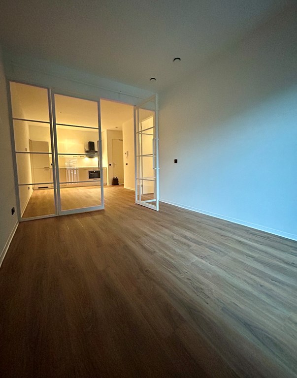 Appartement - 1e Middellandstraat/Rotterdam (€1500.00/50.00m2)