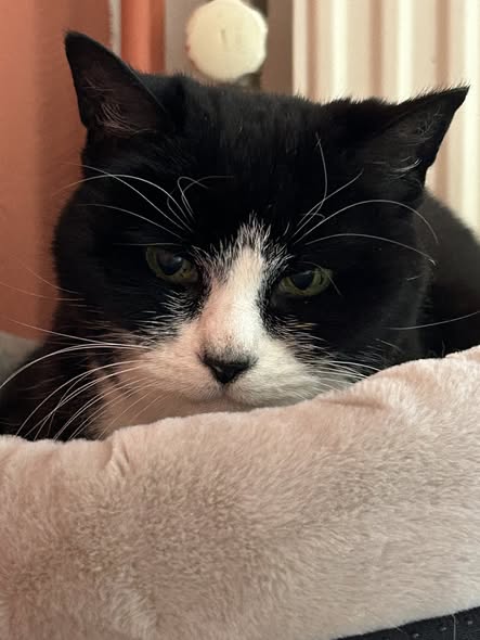 Appartement - unknown/Amsterdam (€800.00/58.00m2)