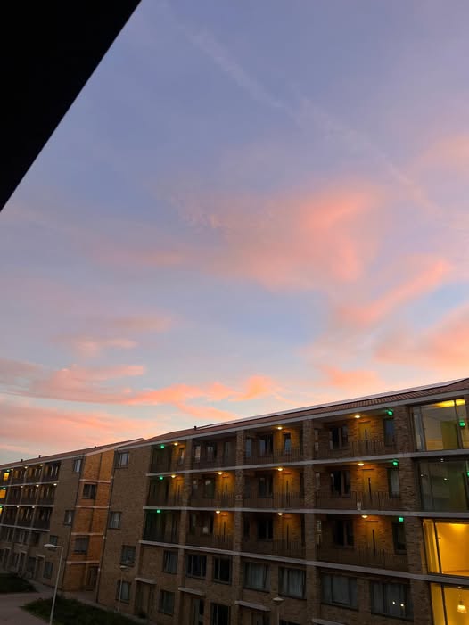 Kamer - Rembrandtpark/Amsterdam (€1000.00/12.00m2)