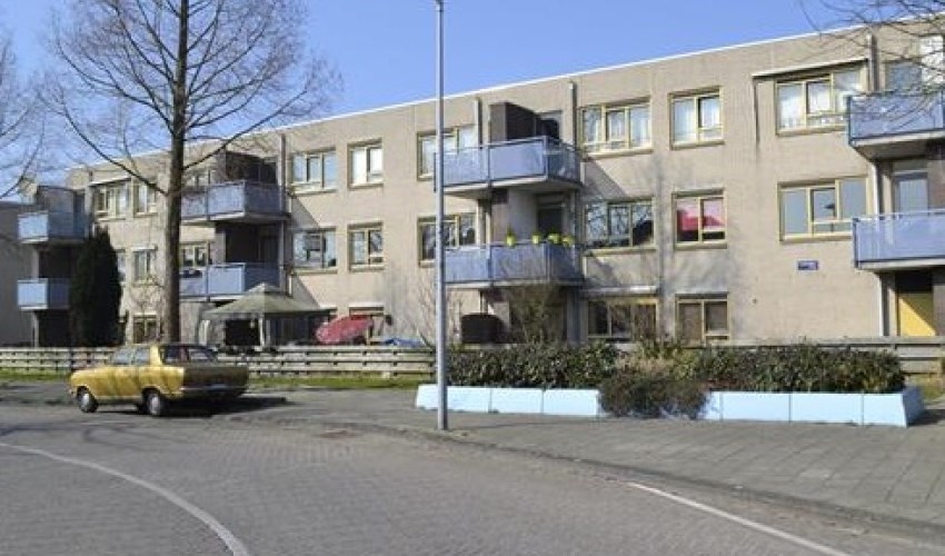 Appartement - Wederikpad/Amsterdam (€1201.00/55.00m2)